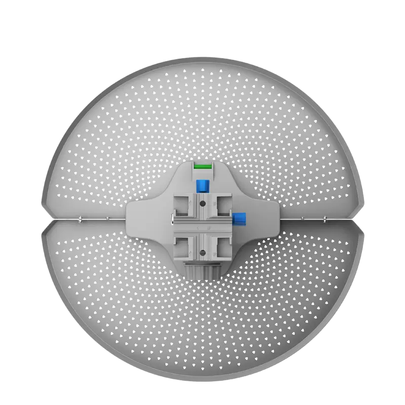 DETRAS.webp