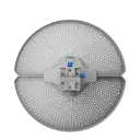 DETRAS.webp